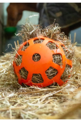 Hay Slow Feeder Fun & Flex Oranje , het is speeltijd in de stal. Hay Slow Feeder Fun & Flex Oranje , het is speeltijd in de stal.
