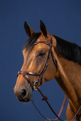 Dyon X-Fit Bridle 'New English Collection' leverbaar in Pony, cob en full maat Dyon X-Fit Bridle 'New English Collection' leverbaar in Pony, cob en full maat