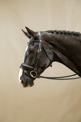 Dyon Matte Large Crank Noseband Bridle With Flash 'Working Collection'