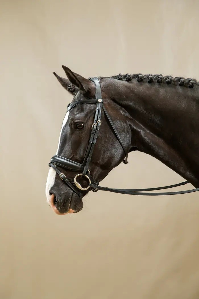 Dyon Matte Large Crank Noseband Bridle With Flash 'Working Collection' Dyon Matte Large Crank Noseband Bridle With Flash 'Working Collection'
