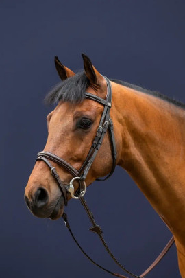 Dyon Classic Flash Noseband Bridle 'Working Collection'