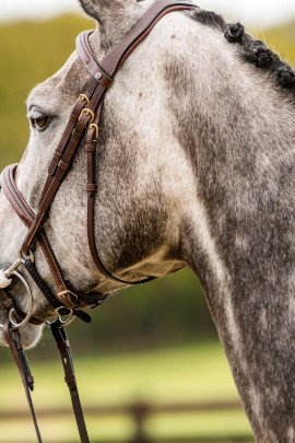 Trust Bridle Amsterdam With Silver Buckles , Available in black and brown Trust Bridle Amsterdam With Silver Buckles , Available in black and brown