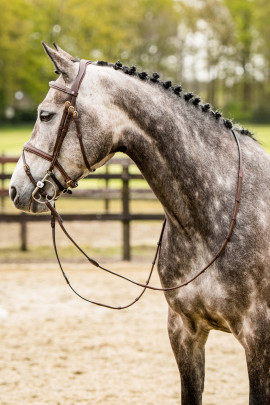 Trust Bridle Amsterdam With Silver Buckles , Available in black and brown Trust Bridle Amsterdam With Silver Buckles , Available in black and brown