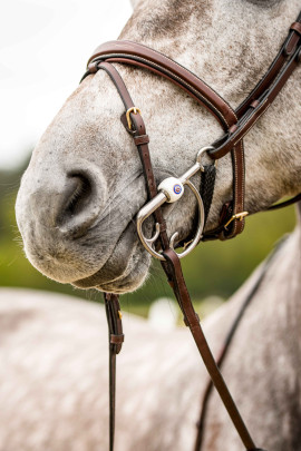 Trust Bridle Amsterdam With Silver Buckles , Available in black and brown Trust Bridle Amsterdam With Silver Buckles , Available in black and brown