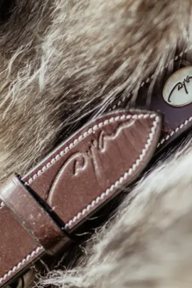 Dy'on Honden Halsband Vlak Leer - Bruin/Goud - Ridershouse