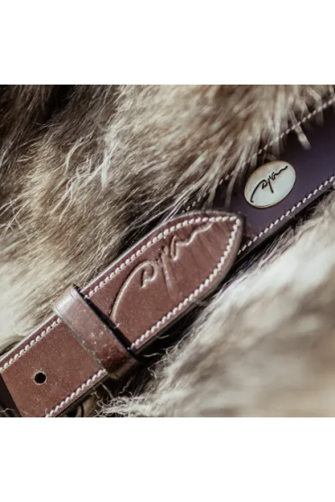 Dy'on Dog Collar Flat Leather - Brown/Gold Dy'on Dog Collar Flat Leather - Brown/Gold