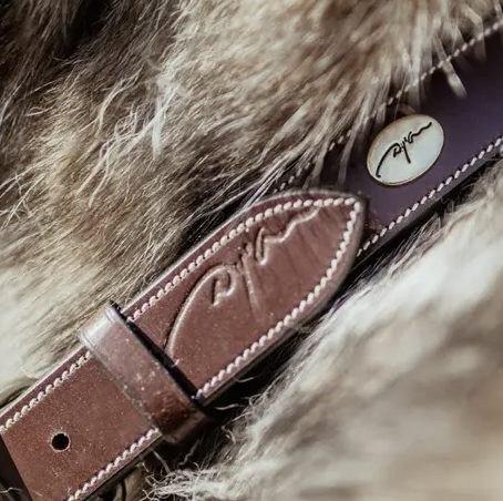 Dy'on Honden Halsband Vlak Leer - Bruin/Goud - Ridershouse