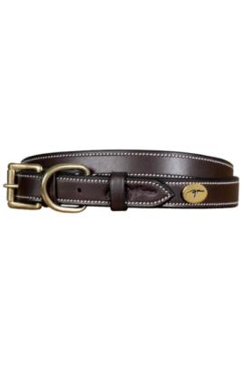 Dy'on Dog Collar Flat Leather - Brown/Gold
