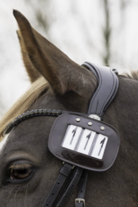 QHP Nummerhouder Lak Met Strass - Bruin - Set Van 2 Perfect voor de wedstrijden QHP Nummerhouder Lak Met Strass - Bruin - Set Van 2 Perfect voor de wedstrijden