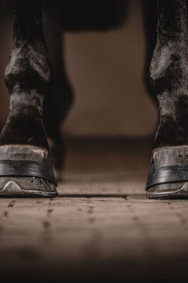 One Equestrian Hoefband Rubber Zwart - flexibel