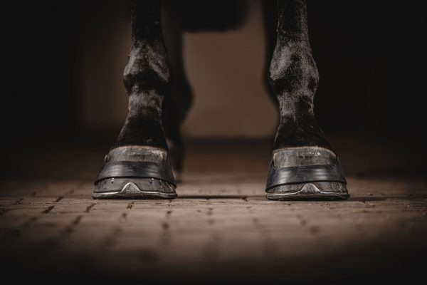 One Equestrian Hoofband Rubber Black - flexible