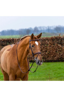 Trust Knokke Hoofdstel Bruin/Zilver kopen? - leverbaar