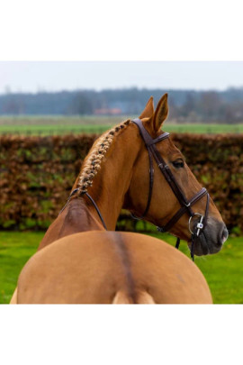 Trust Knokke Hoofdstel Bruin/Zilver kopen? - leverbaar Trust Knokke Hoofdstel Bruin/Zilver kopen? - leverbaar