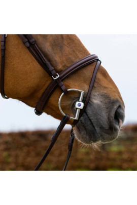 Trust Knokke Hoofdstel Bruin/Zilver kopen? - leverbaar Trust Knokke Hoofdstel Bruin/Zilver kopen? - leverbaar