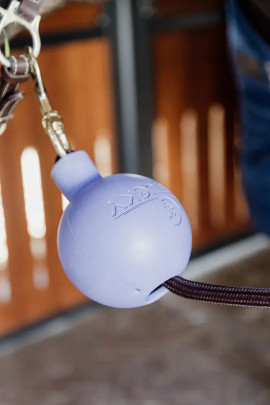 Kentucky Rubber Ball 11,5cm Lavender buy? - protective ball