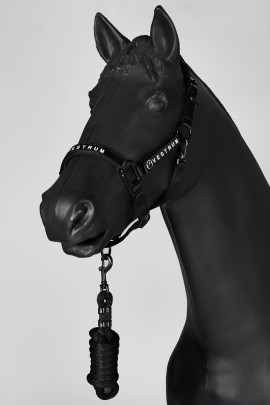 Vestrum Locri Halter Set Black buy? - available