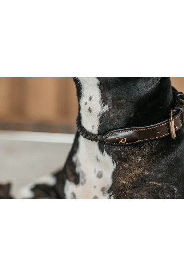 Gevlochten halsband Gevlochten halsband
