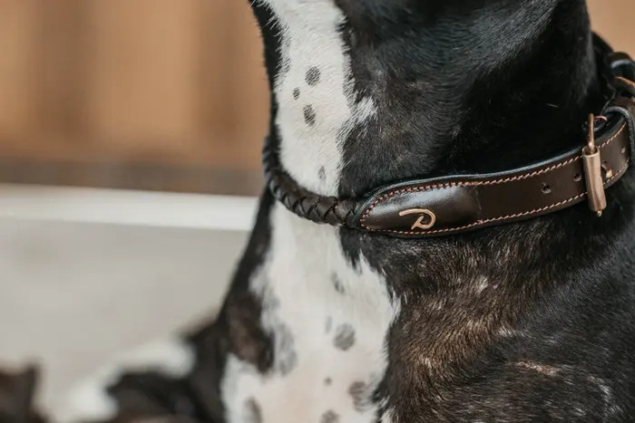 Gevlochten halsband Gevlochten halsband