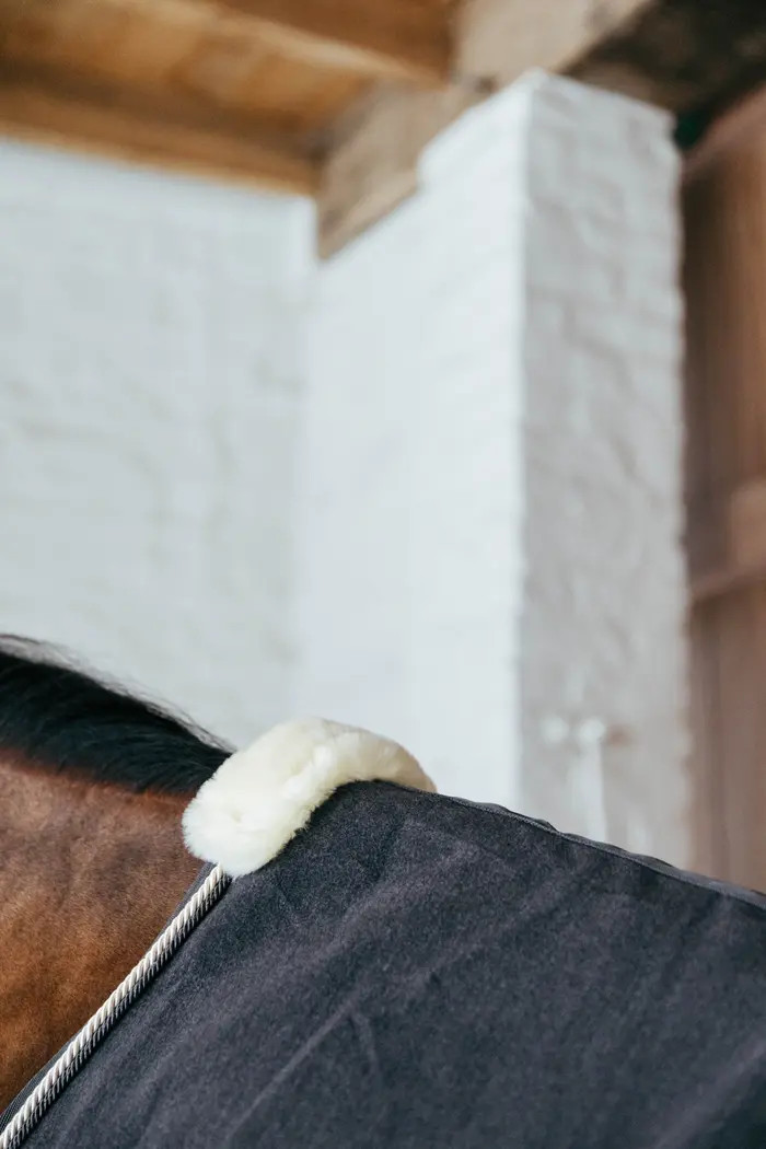 Kentucky Horsewear Fleece Deken Wol kopen? - verkrijgbaar Kentucky Horsewear Fleece Deken Wol kopen? - verkrijgbaar