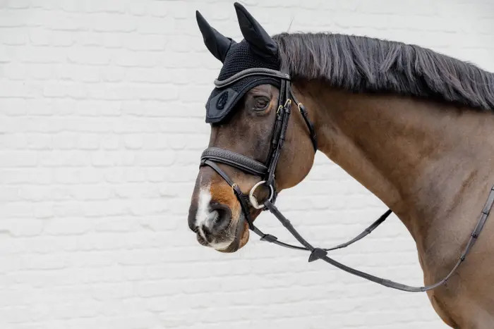 Dy'on Plaited Gevlochten Hoofdstel kopen? - verkrijgbaar Dy'on Plaited Gevlochten Hoofdstel kopen? - verkrijgbaar