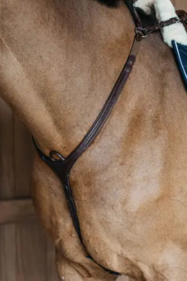 Dy'on Bridge Breastplate Plaited buy? - available