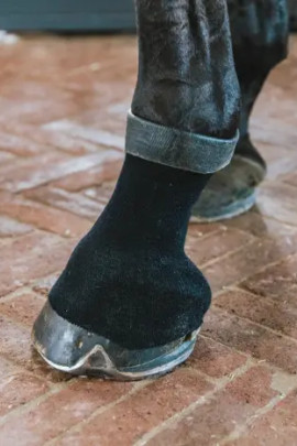Ideale sok/kous met gel aan de binnenkant van Kentucky Horsewear Ideale sok/kous met gel aan de binnenkant van Kentucky Horsewear