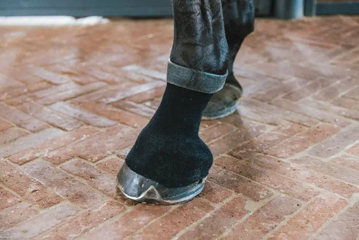 Ideale sok/kous met gel aan de binnenkant van Kentucky Horsewear Ideale sok/kous met gel aan de binnenkant van Kentucky Horsewear