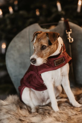 Kentucky Horsewear Dog Coat Bordeaux, Classy nice and very soft!