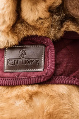 Ridershouse Kentucky Horsewear Hondendeken in de kleur Bordeaux, Ridershouse Kentucky Horsewear Hondendeken in de kleur Bordeaux,