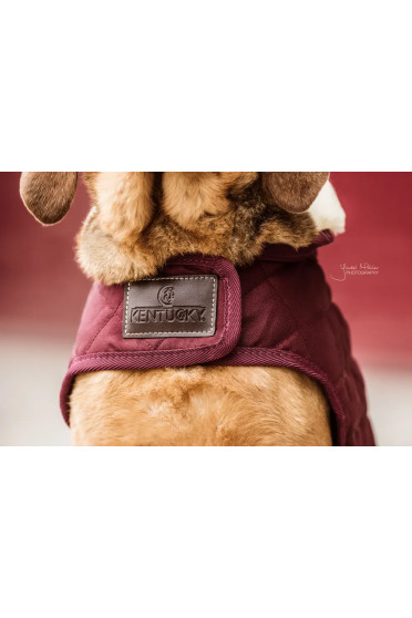 Ridershouse Kentucky Horsewear Hondendeken in de kleur Bordeaux, Ridershouse Kentucky Horsewear Hondendeken in de kleur Bordeaux,