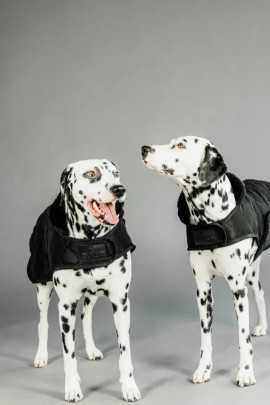 Kentucky Horsewear Dog Coat zwart met een zwarte bontkraag Kentucky Horsewear Dog Coat zwart met een zwarte bontkraag