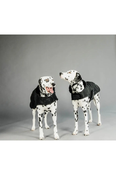 Kentucky Horsewear Dog Coat zwart met een zwarte bontkraag Kentucky Horsewear Dog Coat zwart met een zwarte bontkraag