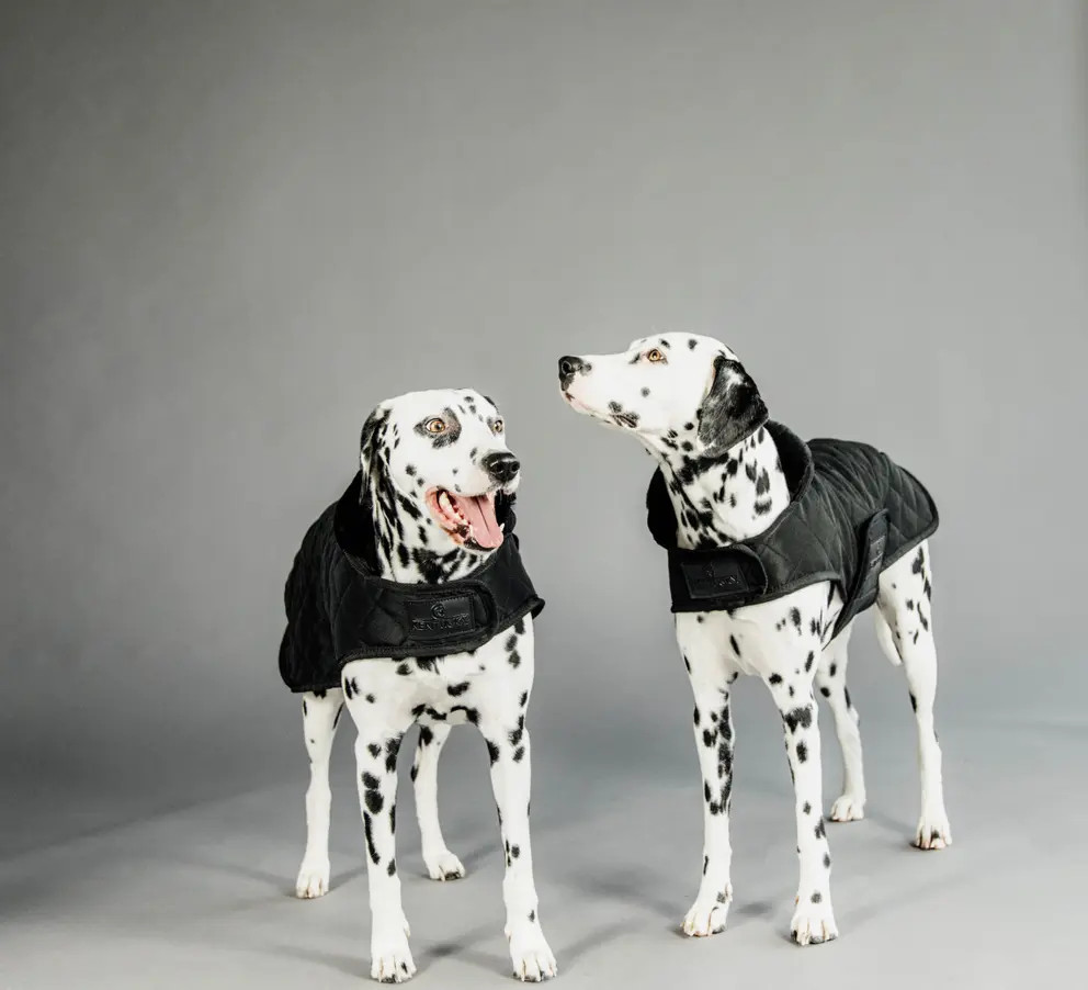 Kentucky Horsewear Dog Coat zwart met een zwarte bontkraag Kentucky Horsewear Dog Coat zwart met een zwarte bontkraag