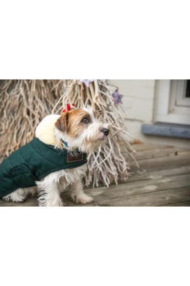 Kentucky Horsewear hondendeken met een vulling van 160 gram - Groen Kentucky Horsewear hondendeken met een vulling van 160 gram - Groen