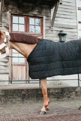 Kentucky Horsewear Under Rug Skin Friendly Tiny 150g