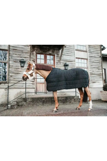 Kentucky Horsewear Under Rug Skin Friendly Tiny 150g Kentucky Horsewear Under Rug Skin Friendly Tiny 150g