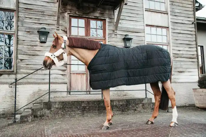 Kentucky Horsewear Under Rug Skin Friendly Tiny 150g Kentucky Horsewear Under Rug Skin Friendly Tiny 150g