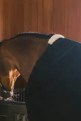 Kentucky Horsewear Mesh Fly Sheet Navy, Perfect voor transport of in de molen Kentucky Horsewear Mesh Fly Sheet Navy, Perfect voor transport of in de molen