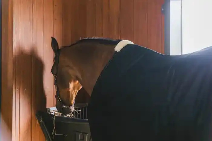 Kentucky Horsewear Mesh Fly Sheet Navy, Perfect voor transport of in de molen Kentucky Horsewear Mesh Fly Sheet Navy, Perfect voor transport of in de molen
