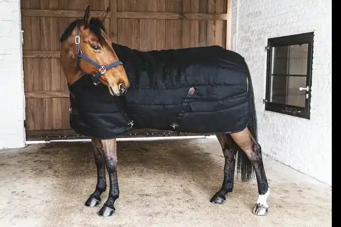 Kentucky Horsewear Stable Rug Classic 100g, ook leverbaar in zwart Kentucky Horsewear Stable Rug Classic 100g, ook leverbaar in zwart