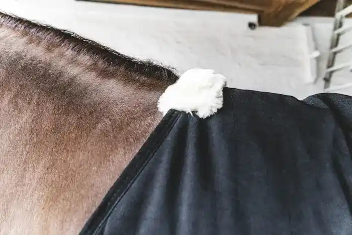 Kentucky Horsewear Stable Rug Classic 100g, ook leverbaar in zwart Kentucky Horsewear Stable Rug Classic 100g, ook leverbaar in zwart