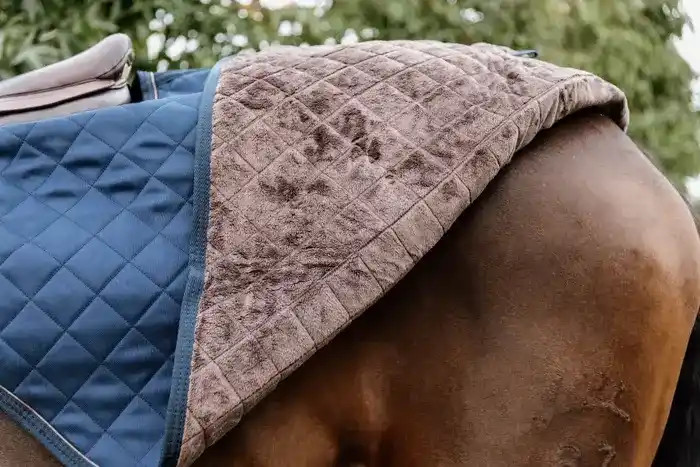 Uitrijdeken om de paarden mee los te rijden of in- en uit te stappen wanneer het koud is Uitrijdeken om de paarden mee los te rijden of in- en uit te stappen wanneer het koud is