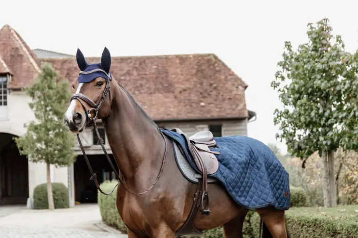 Uitrijdeken om de paarden mee los te rijden of in- en uit te stappen wanneer het koud is Uitrijdeken om de paarden mee los te rijden of in- en uit te stappen wanneer het koud is