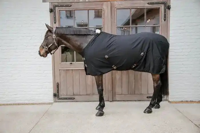 Cotton Sheet keeps your horse comfortable during summer or transport. Cotton Sheet keeps your horse comfortable during summer or transport.