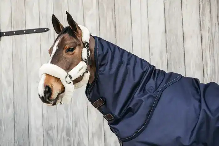 Kentucky Horsewear neck All weather 0GR. 1680D high tenacity polyester Kentucky Horsewear neck All weather 0GR. 1680D high tenacity polyester