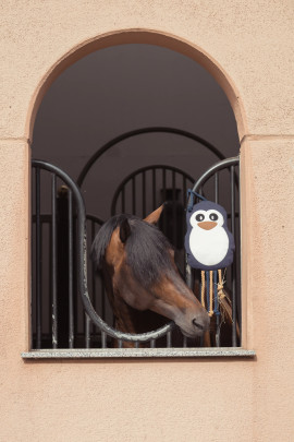 Eskadron Paardenspeelgoed Pinguïn kopen? - verkrijgbaar Eskadron Paardenspeelgoed Pinguïn kopen? - verkrijgbaar