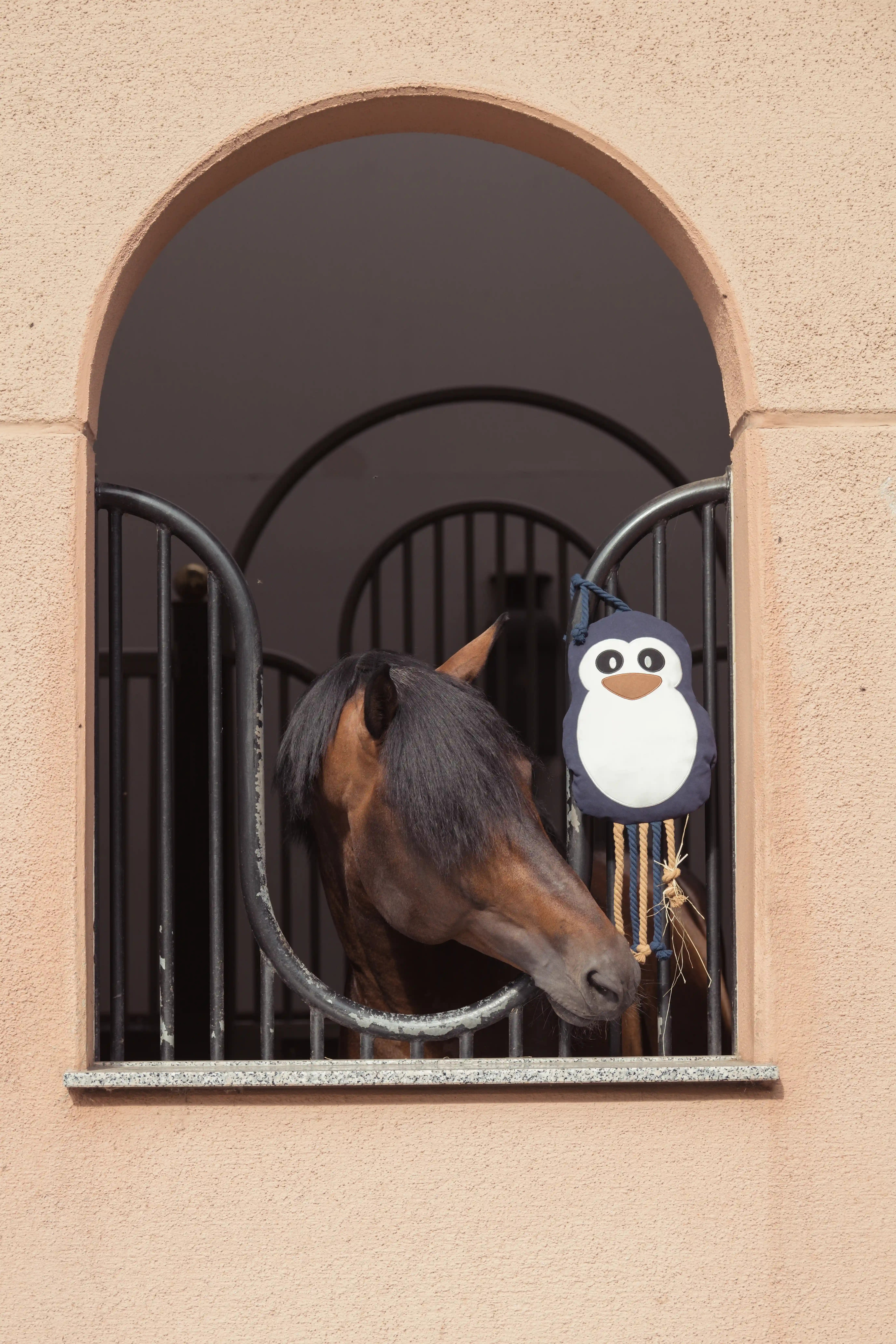 Eskadron Paardenspeelgoed Pinguïn kopen? - verkrijgbaar Eskadron Paardenspeelgoed Pinguïn kopen? - verkrijgbaar