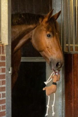QHP Paardenspeelgoed Rudolph kopen? - verkrijgbaar QHP Paardenspeelgoed Rudolph kopen? - verkrijgbaar