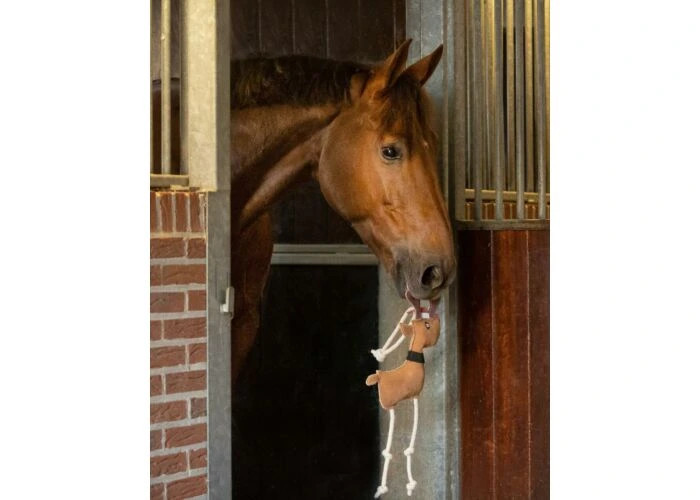QHP Paardenspeelgoed Rudolph kopen? - verkrijgbaar QHP Paardenspeelgoed Rudolph kopen? - verkrijgbaar
