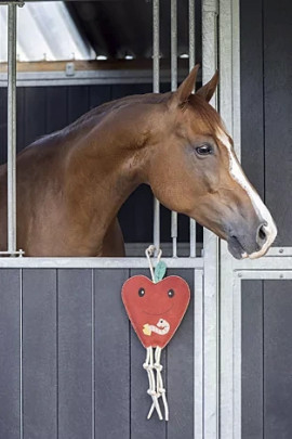 QHP Paardenspeelgoed Appel kopen? - verkrijgbaar